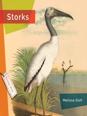 cover image of Storks
